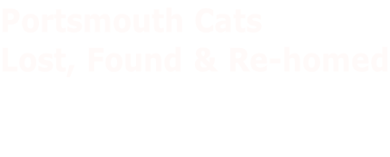 Portsmouth Cats  Lost, Found & Re-homed